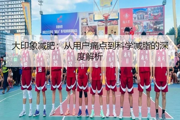 大印象减肥:从用户痛点到科学减脂的深度解析